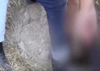 Сокулуктагы 40 жаштагы аялдын сырдуу өлүмү. Жансыз денеси 2 метр тереңдиктеги люктан табылды