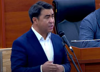 Жанар Акаев: «Министрлерди кармап, видеого музыка кошуп шоу кылганды качан токтотосуңар?»