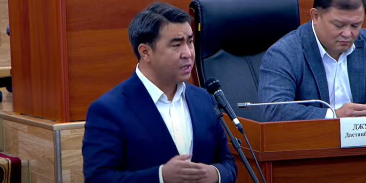 Жанар Акаев: «Министрлерди кармап, видеого музыка кошуп шоу кылганды качан токтотосуңар?»