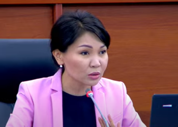 Депутат: «Кыздарга 7-8 жолу куурчакты берип, куурчактан атасы эмне кылганын көрсөтүп беришсе да, тергөөчү экспертизага жөнөтүптүр»