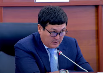 Депутат: «Кой-Таштагы аскердик бөлүктөр Ак Үйдү коруйбу?»