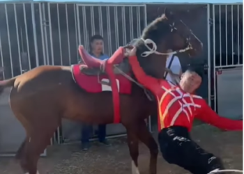 «Улакчыны кулатып…» Көчмөндөр оюндарына Түркияда ижарага алынган аттар талкуу жаратты (видео)