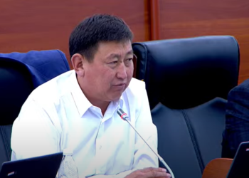 Депутат Саламаттыкты сактоо министрине талапкердин туулган жери жазылбаганына нааразы болду