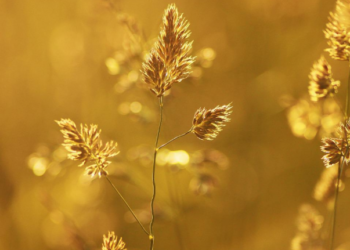 10-сентябрга карата өлкөдөгү аба ырайы