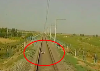 «Бала бакчадан качып чыккан». Өзбекстанда 4 жаштагы баланы поезд тебелеп кеткендеги видео