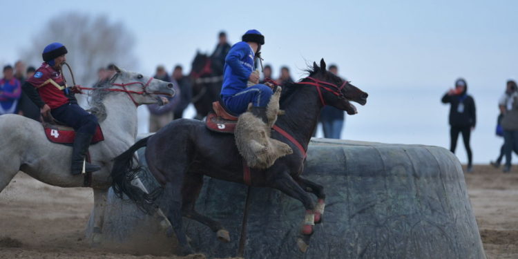 Милиция: «Таласта өткөн көк бөрү боюнча чемпионатта массалык мушташ болду деген маалымат калп»