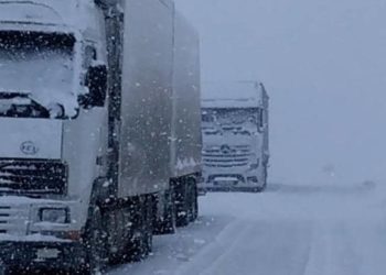 «Сосновка» жана «Арал» постторунда оор жүк ташуучу унааларга чектөө киргизилди