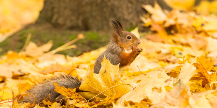7-октябрга карата өлкөдөгү аба ырайы