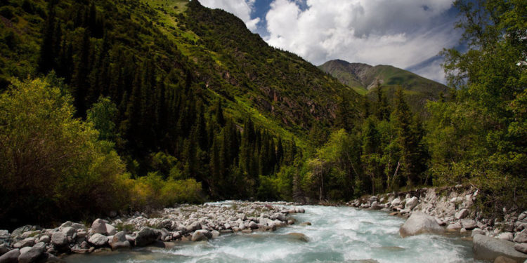 12-октябрда Ала-Арча жаратылыш паркына эс алуучулар киргизилбейт