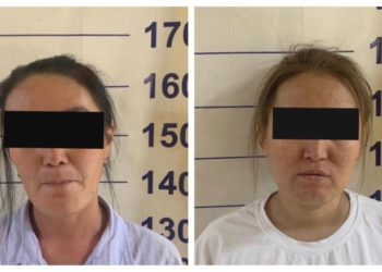 Бишкекте эки курбу тоноого шектелип жатат