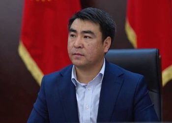 Депутат Жанар Акаев: «Баарын тез арада милиция бошотсун! Бул өтүнүч эмес, талап»