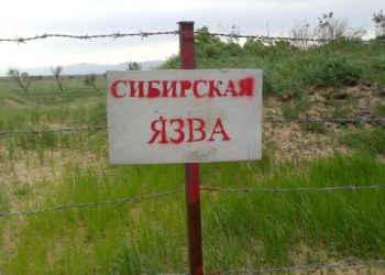 «Байланышта болгон 36 адам аныкталды». Кадамжайда 3 киши күйдүргүгө шектелип жатат