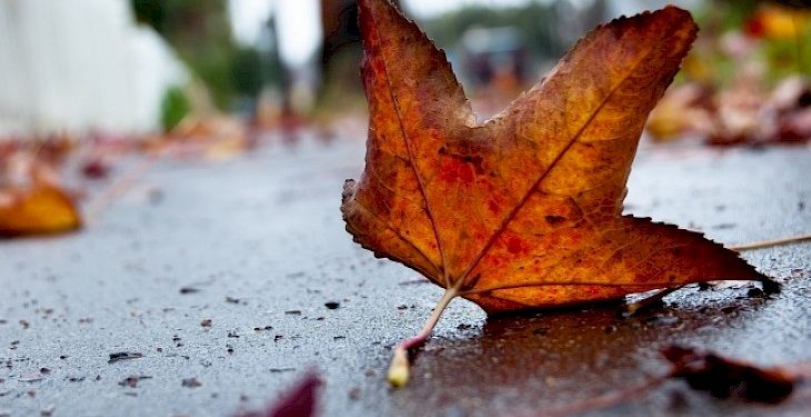 17-октябрга карата өлкөдөгү аба ырайы