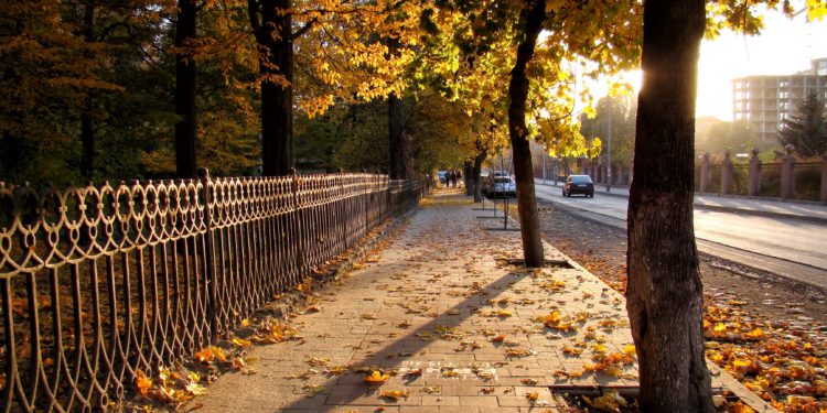 26-октябрга карата өлкөдөгү аба ырайы