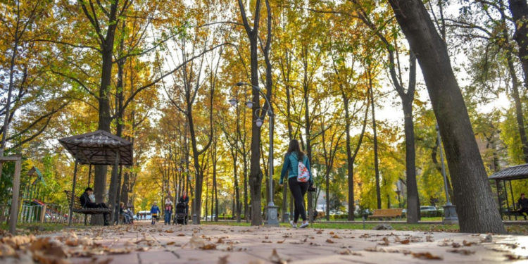 22-октябрга карата өлкөдөгү аба ырайы