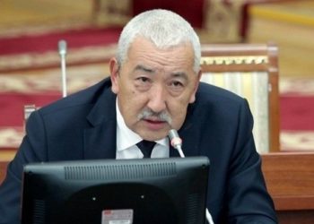 Депутат «комитетинин кыргыз-өзбек чек арасы боюнча чечими парламенттин кароосуна киргизилеби?» деп сурады