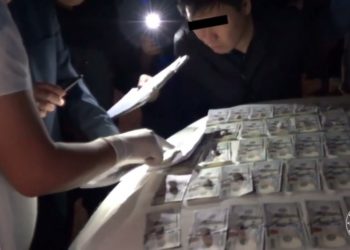 Конвертке 110 миң доллар батабы? ИИМдин Бейшеналиевдин иши боюнча жообу