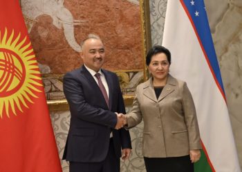 Төрага Нурланбек Шакиев Өзбекстан Сенатынын төрайымы Танзила Нарбаева менен жолугушту