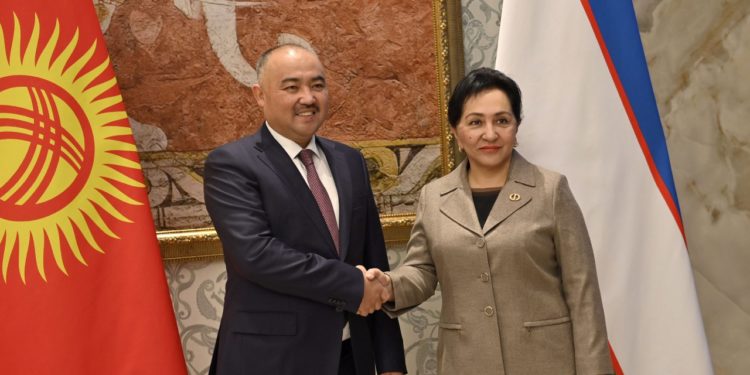 Төрага Нурланбек Шакиев Өзбекстан Сенатынын төрайымы Танзила Нарбаева менен жолугушту