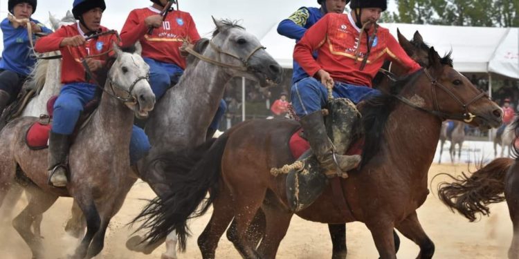 Министр: «Манас Ниязов минген атты сатып алганбыз, аны вандык кыргыздарга тартуулайбыз»
