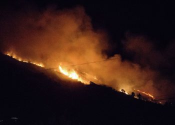 Түнү Бишкектин Панорама аймагында өрт чыкты