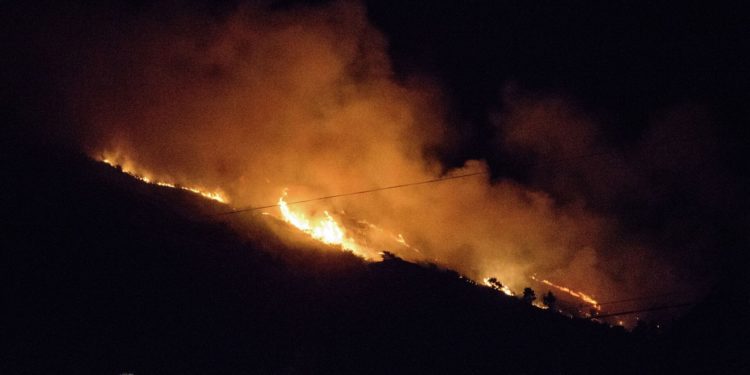 Түнү Бишкектин Панорама аймагында өрт чыкты