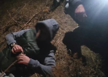 Ала-Арча капчыгайындагы аскада калып калган жаран чыгарылды