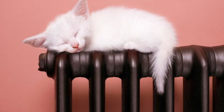 Үшүп жатасызбы? Бишкек мэриясы үйлөргө жылытуу качан берилерин эске салды