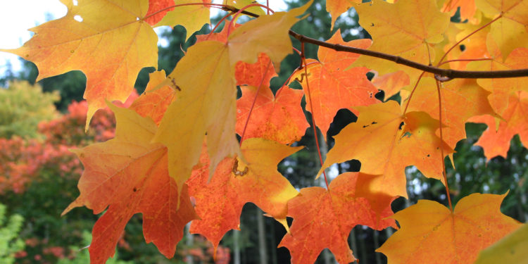 8-октябрга карата өлкөдөгү аба ырайы