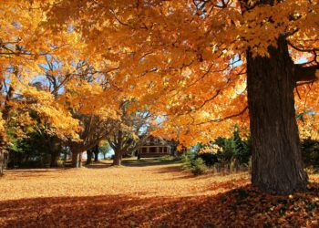 Кыргызстанда келерки аптада суук түшөт