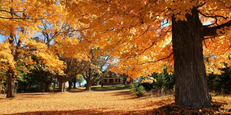 Кыргызстанда келерки аптада суук түшөт