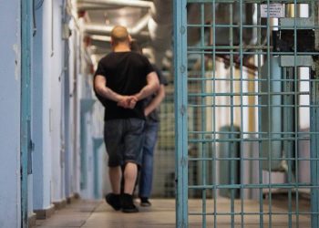 Кыргызстанда 349 жаран өмүр бою эркинен ажыратылган