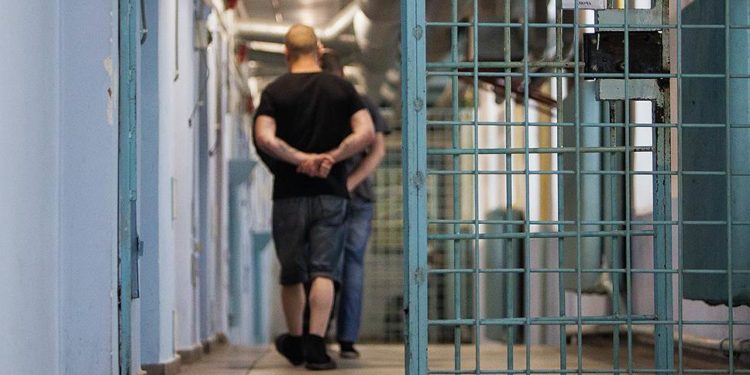 Кыргызстанда 349 жаран өмүр бою эркинен ажыратылган