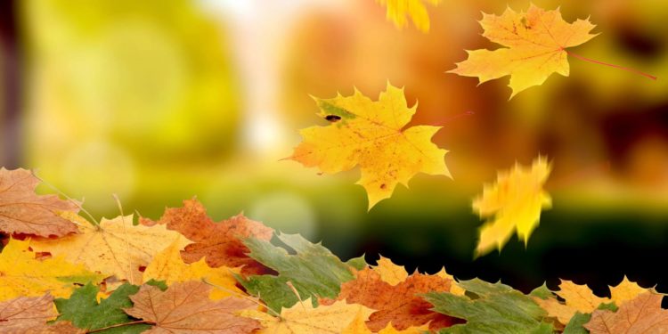 13-октябрга карата өлкөдөгү аба ырайы