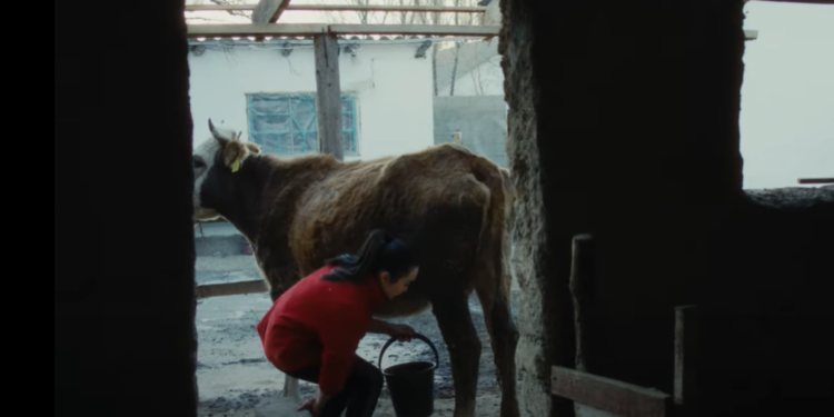 Орусиялык ырчы Манижа Кыргызстандын хоккей ойногон кыздары тууралуу клип тартты (видео)