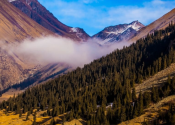 Ысык-Көлдөгү капчыгайга кеткен Орусиянын эки жараны дайынсыз болуп жатат