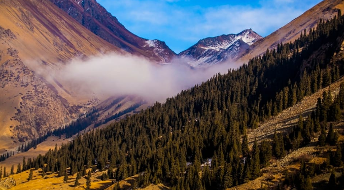 Ысык-Көлдөгү капчыгайга кеткен Орусиянын эки жараны дайынсыз болуп жатат