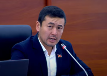 Депутат жол жээгиндеги жарнамалардан жылаңач кыздардын сүрөтүн алып салууну суранды