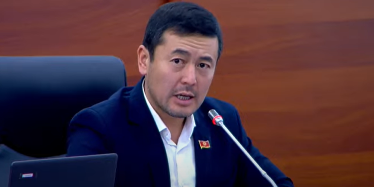 Депутат жол жээгиндеги жарнамалардан жылаңач кыздардын сүрөтүн алып салууну суранды