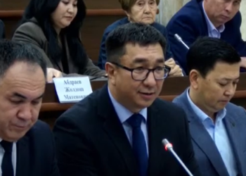 Депутат министрдин милдетин аткаруучу Текебаевге: «Резюмеңиз да, фамилияңыз да күчтүү экен»