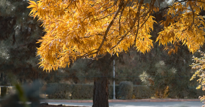 20-октябрга карата өлкөдөгү аба ырайы