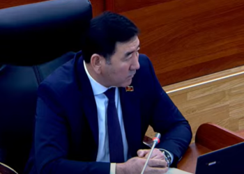 Депутат: «Тажикстан курал-жарак алып келип, окоп казып жатышат»