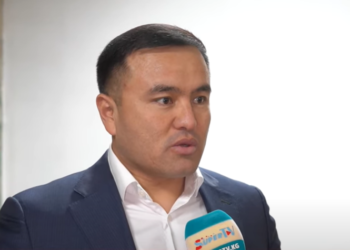 Алишев Козуев: «Бийлик үстүртөн эле шылтоо кылып, басмырлоого барбаш керек»