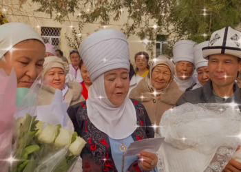 Жети миллионунчу кыргызстандык төрөтканадан чыгарылды (видео)