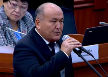 Депутат Токторбаев Мадумаровду «саясий таштанды» деп баалады