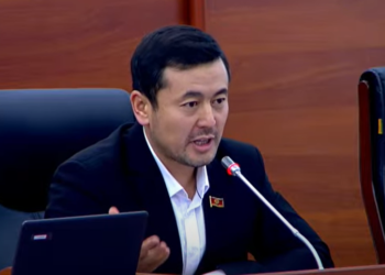 Депутат: «Мойнуңду жулуп коём же колуңду сындырып коём деген сөз үчүн жоопко тарткан туурабы?»