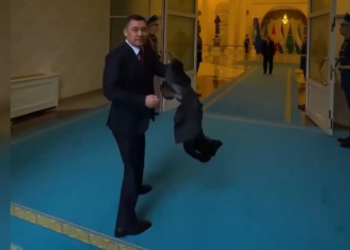 Садыр Жапаровго Касым-Жомарт Токаевдин мобилографы жардам берди (видео)