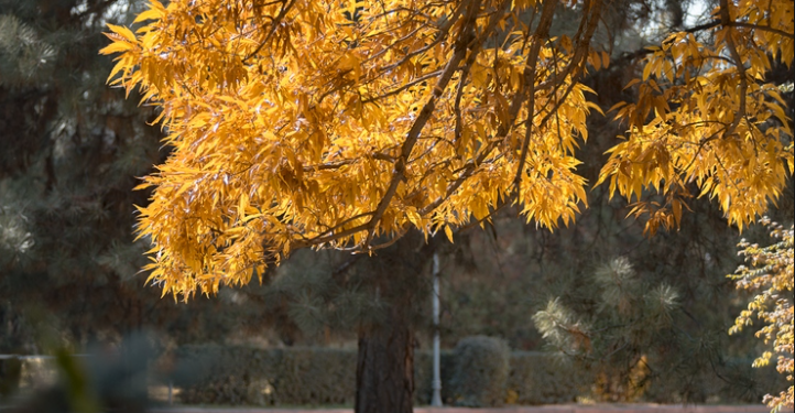 1-ноябрга карата өлкөдөгү аба ырайы