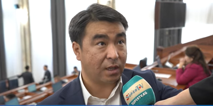 Жанар Акаев: «Президент өзү жарандарга «суубузду, жерибизди берип коюп, карап отургандай эл душманы белек» деди»