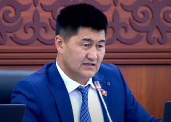 Депутат Атазов «качан курттардан тазаланабыз?» деп суроо салды